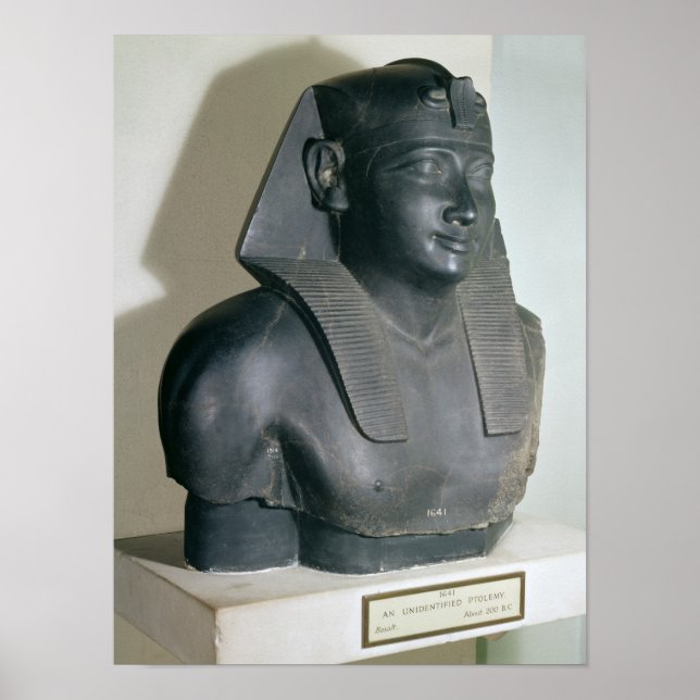 Fragment of an Egyptian style statue of Ptolemy I Poster (Front)