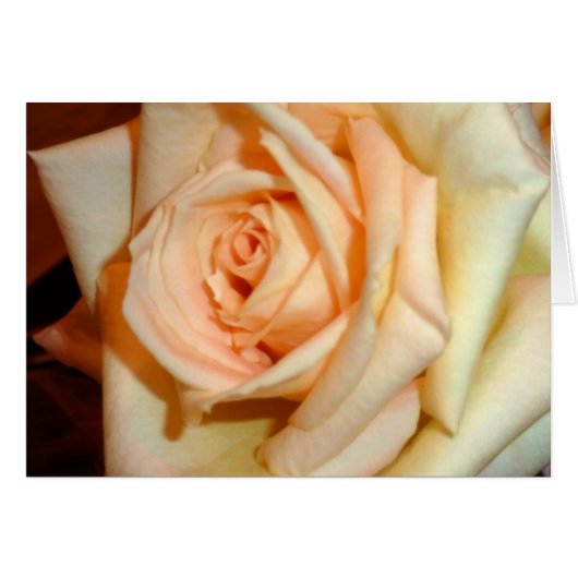 Fragrance Cards (Front Horizontal)