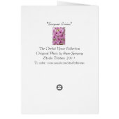 Fragrant Fairies (Back)