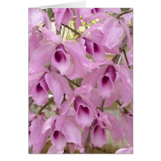 Fragrant Fairies Cards