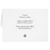 Fragrant Oregano Cards (Back Horizontal)
