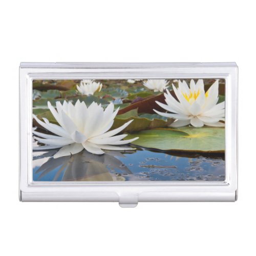 Fragrant Water Lily Nymphaea Odorata On Caddo Business Card Case