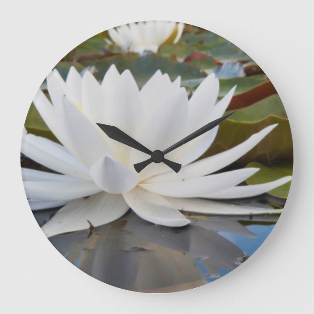Fragrant Water Lily (Nymphaea Odorata) On Caddo Large Clock (Front)