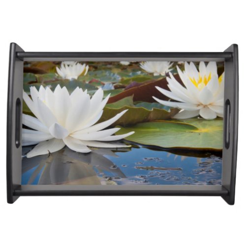 Fragrant Water Lily Nymphaea Odorata On Caddo Serving Tray