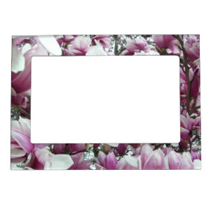 Frame - Magnetic - Saucer Magnolias