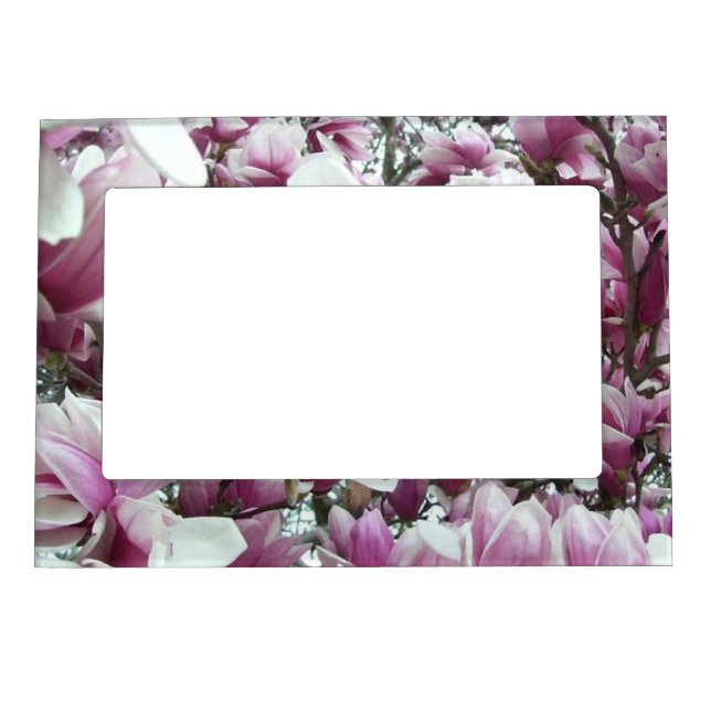 Frame - Magnetic - Saucer Magnolias (Front)