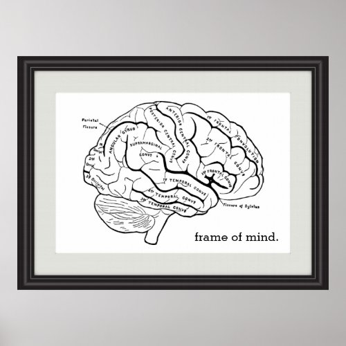 Frame of Mind Faux Frame Brain Diagram Science Poster