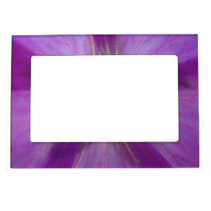 frame of purple flower stars
