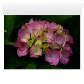 Frameable Art Card (Inside Horizontal (Bottom))