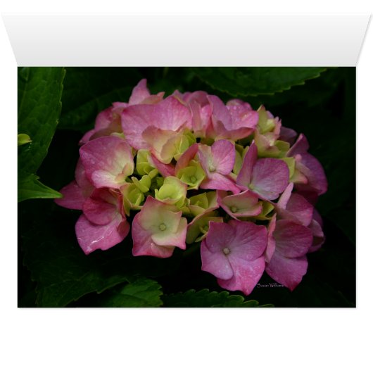 Frameable Art Card (Inside Horizontal (Bottom))