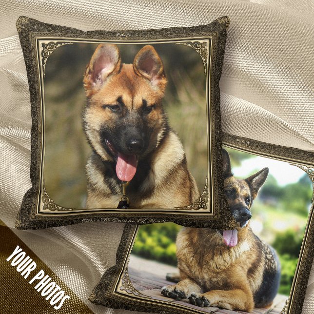 Framed 1+1 Pet Photo Keepsake, Gold/Brown Damask - Throw Pillow (Creator Uploaded)
