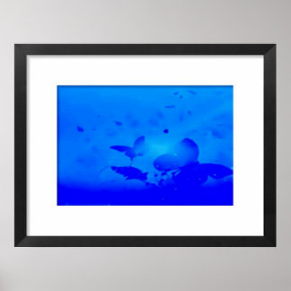 Framed Blue Butterflies Paint Poster