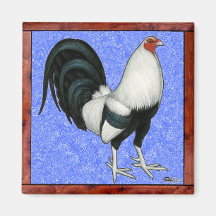 Framed Gamecock Magnet