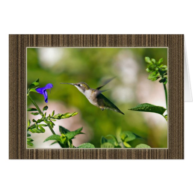 Framed Hummingbird Cards (Front Horizontal)