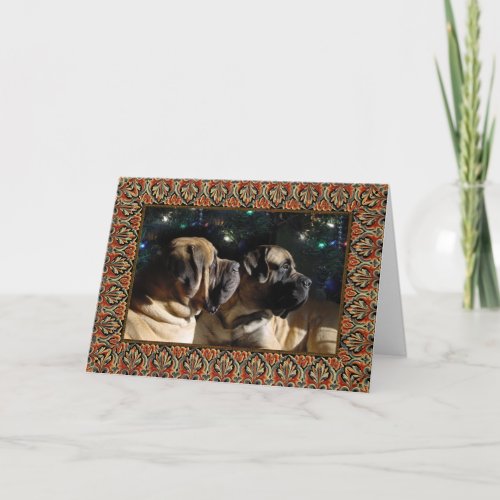 Framed Mastiff Pair Card