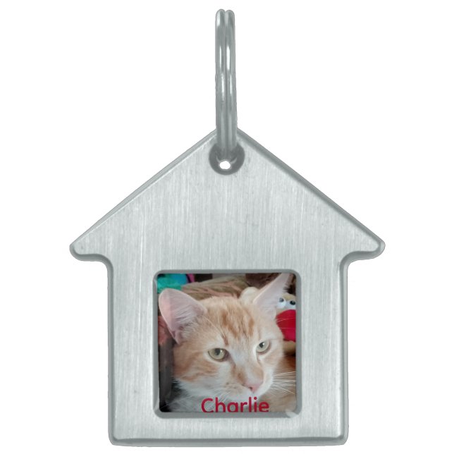 Framed Pet Photo Name Tag (Front)