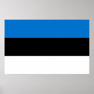 Framed print with Flag of Estonia