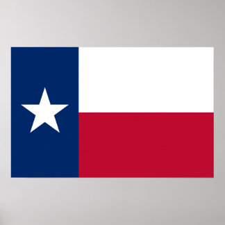 Framed print with Flag of Texas, U.S.A.