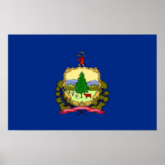 Framed print with Flag of Vermont, U.S.A.