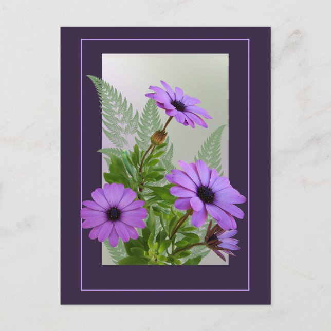 Framed Purple Daisies Postcard - TBA (Front)