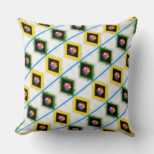Framed Rainbow Colors Throw Pillow