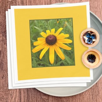 Framed Single Yellow Rudbeckia Flower Photograph