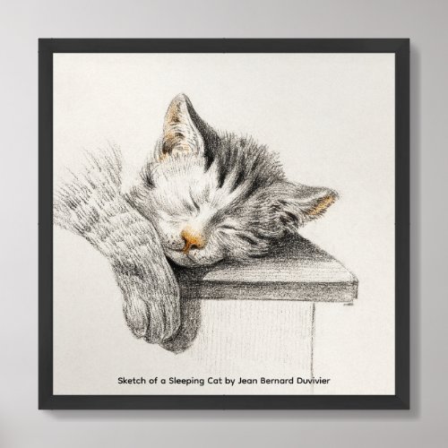 Framed Sketch of a Sleeping Cat by Jean Bernard  Framed Art