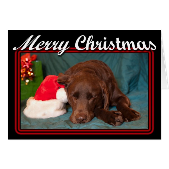 Framed Sleeping Chocolate Lab With Santa Hat Photo Greeting Card
