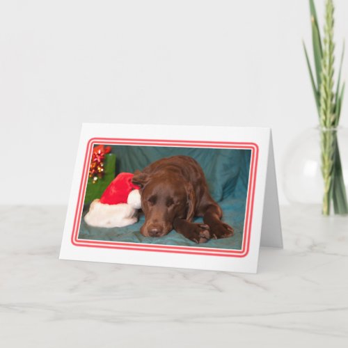 Framed Sleeping Chocolate Lab With Santa Hat Photo Holiday Card
