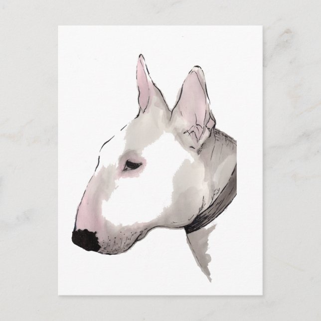 français terrier postcard (Front)