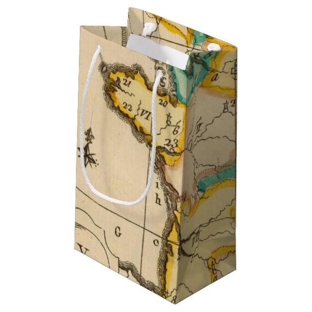 France 3 small gift bag (Back Angled)