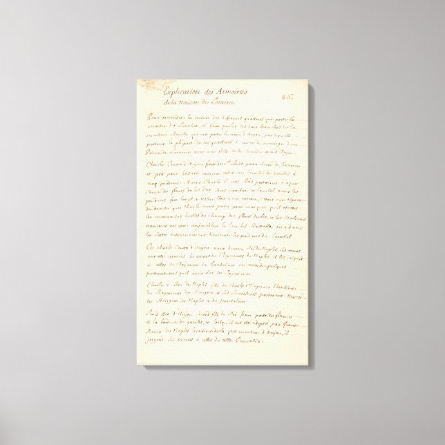 France 50 canvas print (Front)