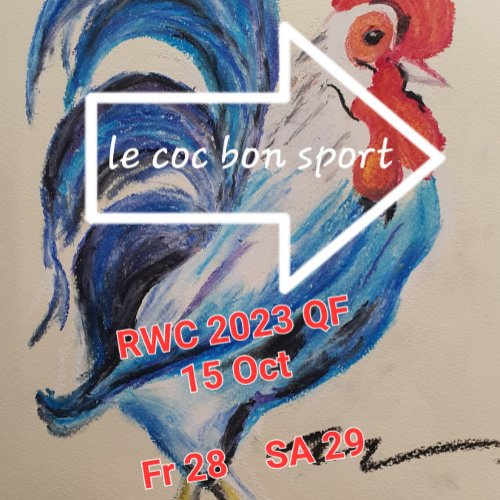 France are Good Sports RWC 2023 T_Shirt