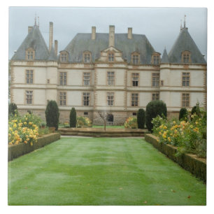 France, Burgundy, Cormatin, Chateau de Cormatin, Tile