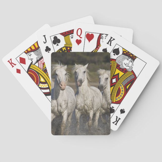 France, Camargue. Horses run Poker Cards (Back)