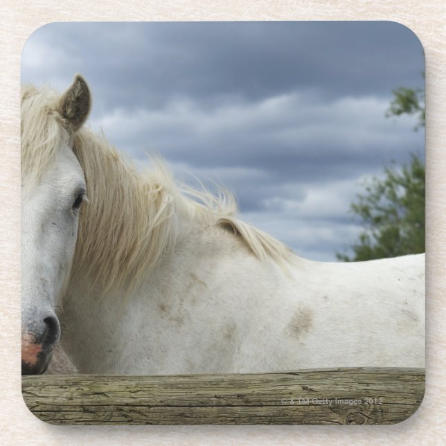France Drink Coaster (Front)