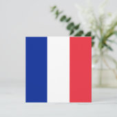 France Flag (Standing Front)