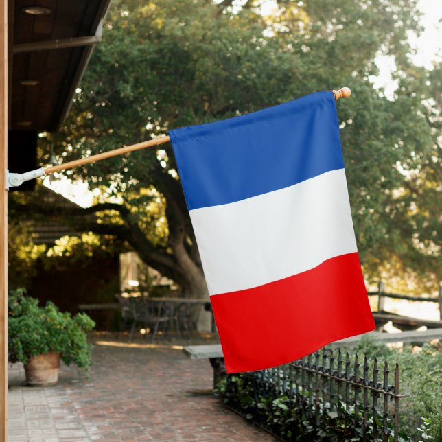 France flag (In SItu)