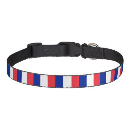 France flag Dog Collar