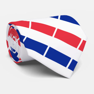 France Flag Neck Tie