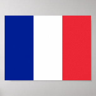 France French Flag Poster