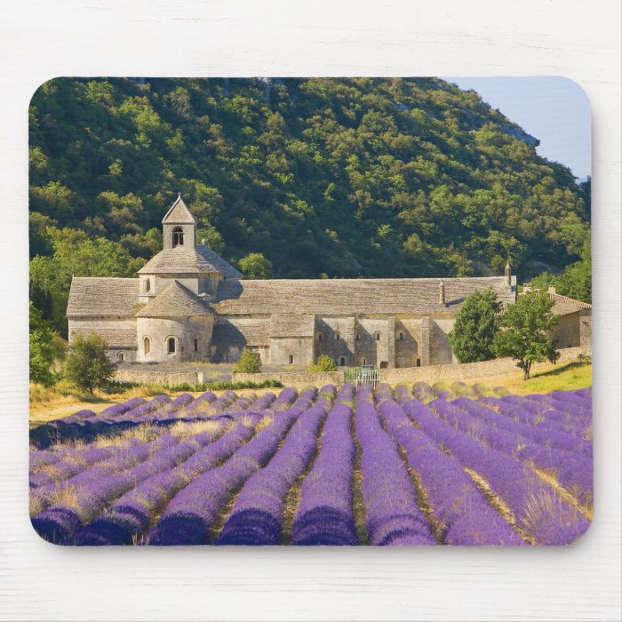 France, Gordes. Cistercian monastery of Mouse Pad