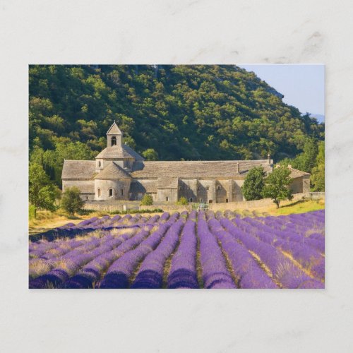 France Gordes Cistercian monastery of Postcard