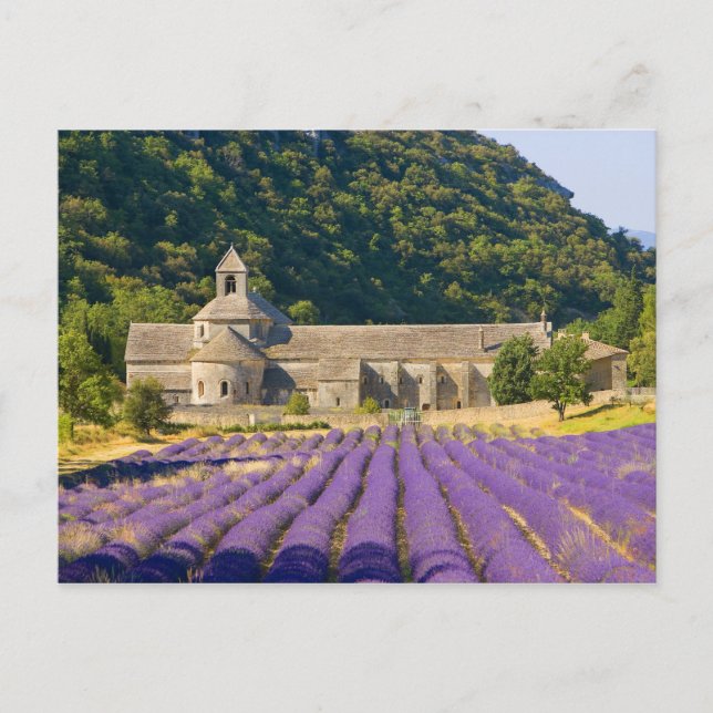 France, Gordes. Cistercian monastery of Postcard (Front)