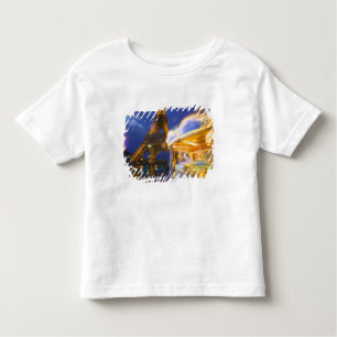 France, Paris. Eiffel Tower in twilight fog and Toddler T-shirt