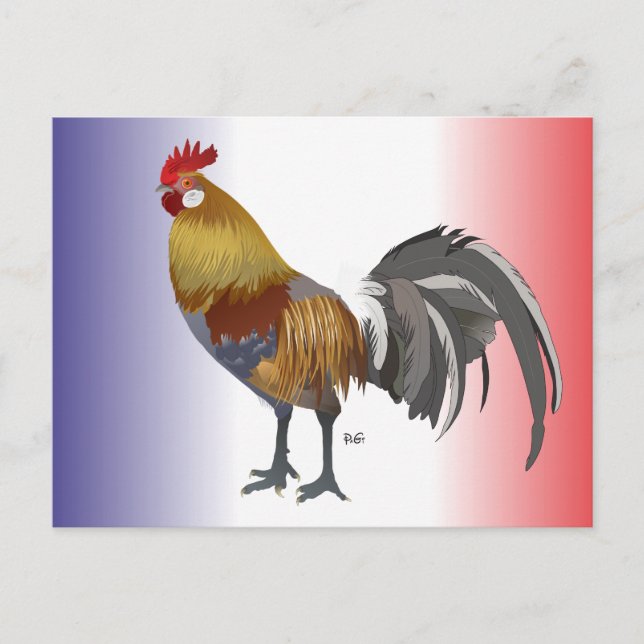 France postcard (Front)