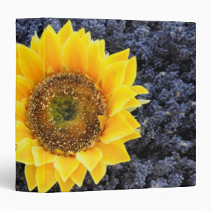 France, Provence-Alpes-Cote d'Azur 3 Ring Binder