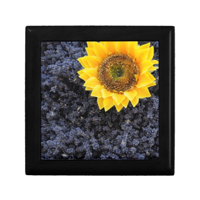 France, Provence-Alpes-Cote d'Azur Gift Box (Front)