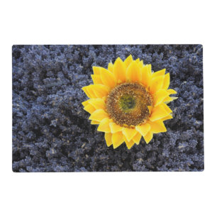 France, Provence-Alpes-Cote d'Azur Placemat