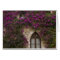 France, Provence, Eze. Bright pink